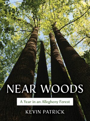 cover image of Near Woods